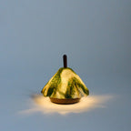 shami lantern　縞黒檀
