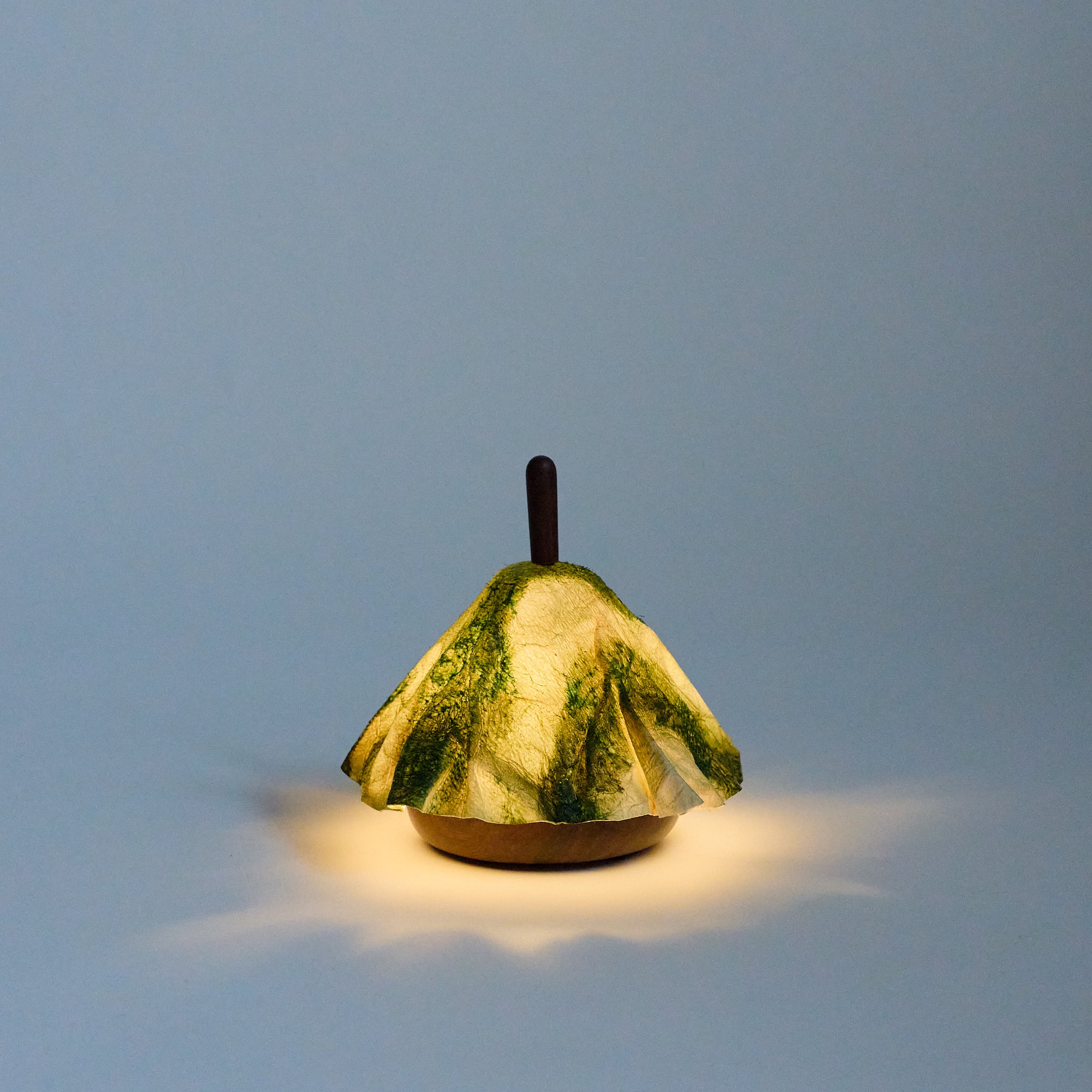 shami lantern　縞黒檀