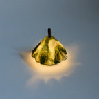 shami lantern　縞黒檀